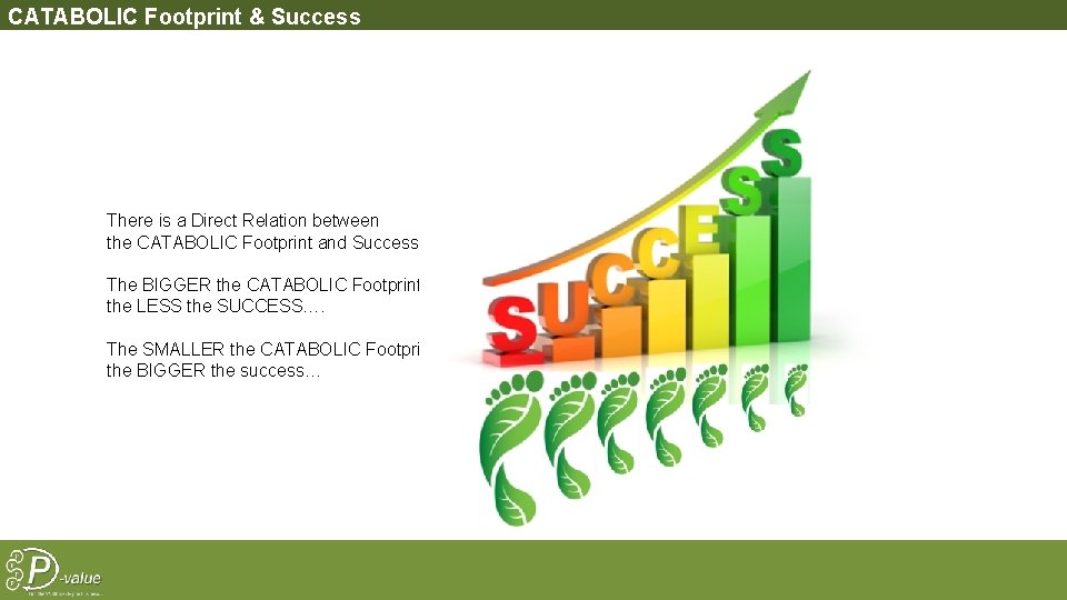 CATABOLIC Footprint & Success There is a Direct Relation between the CATABOLIC Footprint and