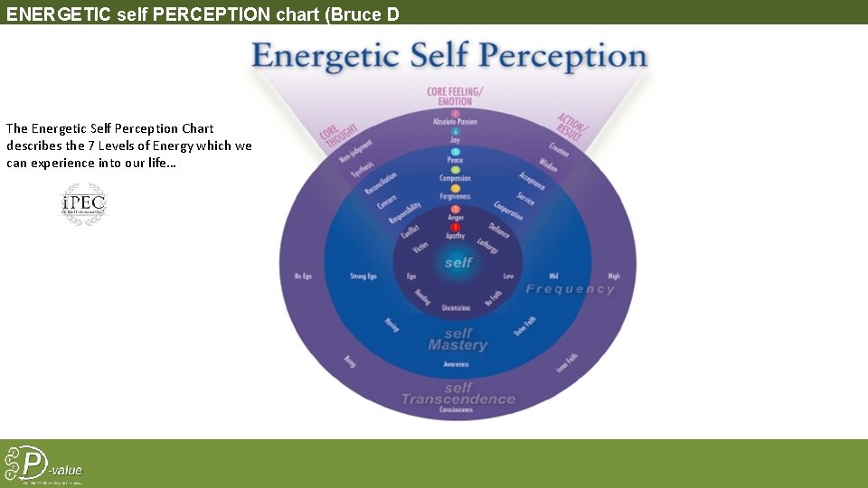 ENERGETIC self PERCEPTION chart (Bruce D Scheinder) The Energetic Self Perception Chart describes the