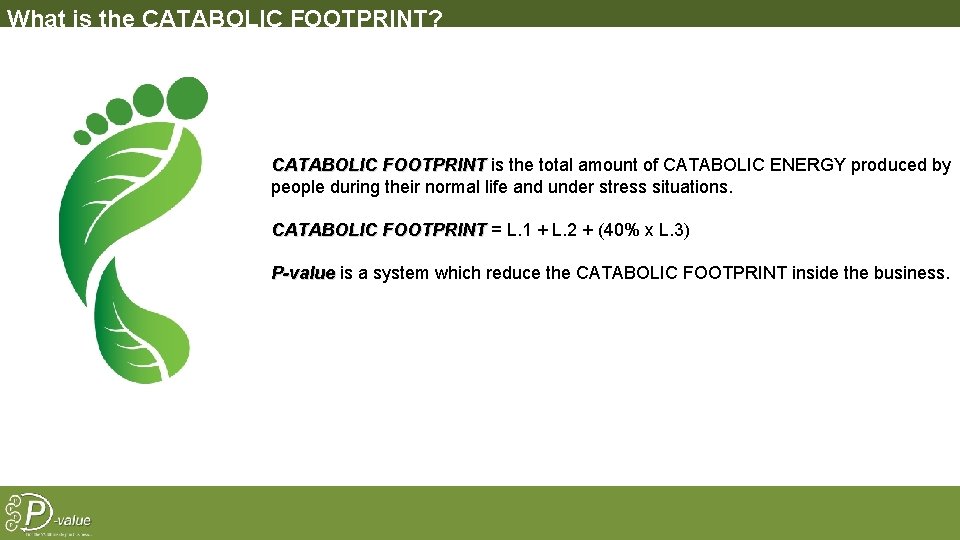 What is the CATABOLIC FOOTPRINT? CATABOLIC FOOTPRINT is the total amount of CATABOLIC ENERGY