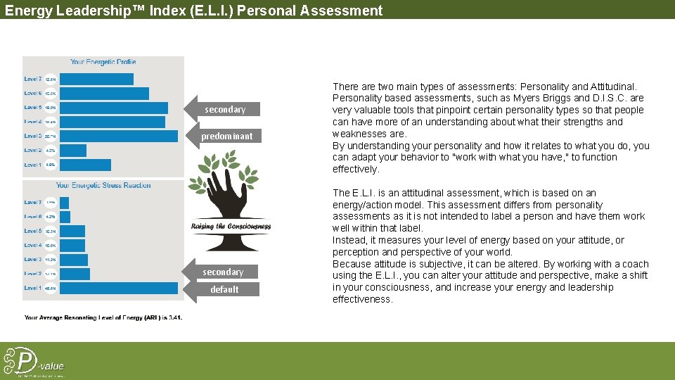 Energy Leadership™ Index (E. L. I. ) Personal Assessment secondary predominant secondary default There