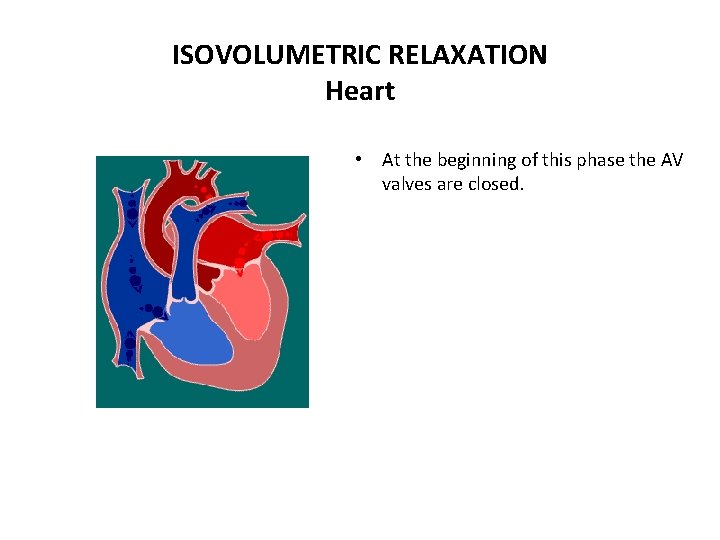 ISOVOLUMETRIC RELAXATION Heart • At the beginning of this phase the AV valves are