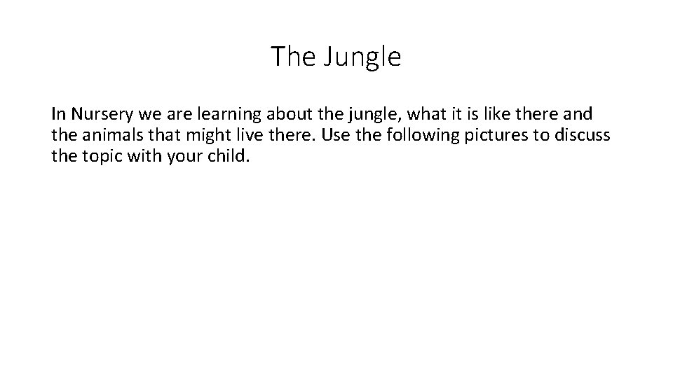 The Jungle In Nursery we are learning about the jungle, what it is like