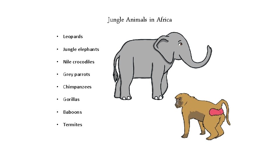 Jungle Animals in Africa • Leopards • Jungle elephants • Nile crocodiles • Grey