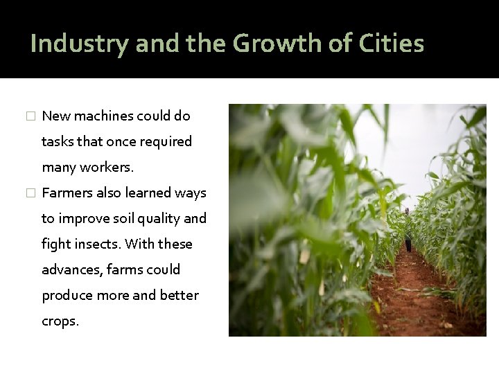 Industry and the Growth of Cities � New machines could do tasks that once