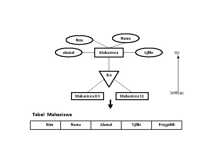 Nama Nim alamat Mahasiswa tgllhr ISA Mahasiswa D 3 Mahasiswa S 1 Tabel Mahasiswa