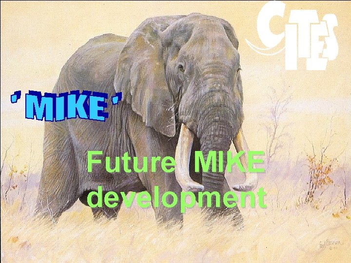 © Future MIKE development 