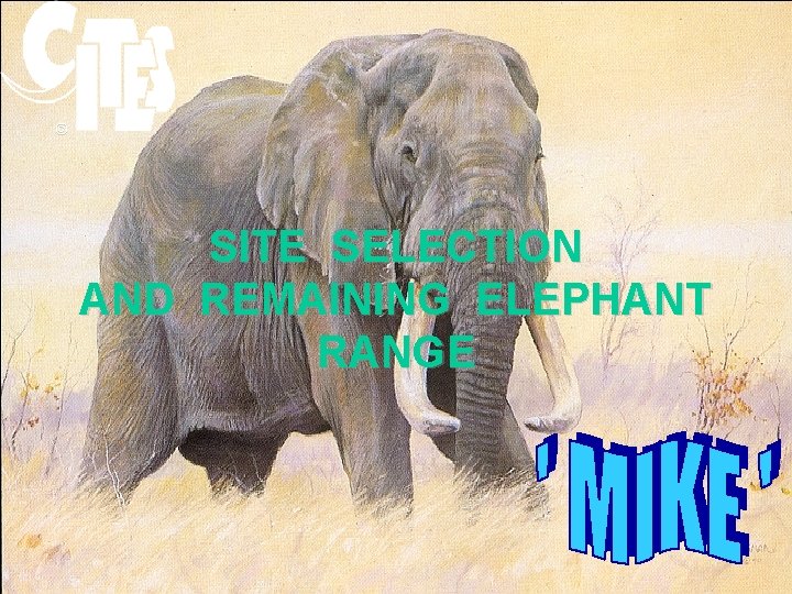 © SITE SELECTION AND REMAINING ELEPHANT RANGE 