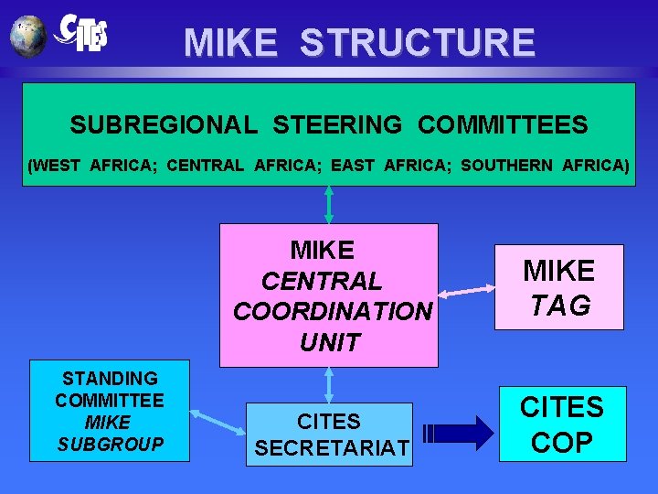 MIKE STRUCTURE SUBREGIONAL STEERING COMMITTEES (WEST AFRICA; CENTRAL AFRICA; EAST AFRICA; SOUTHERN AFRICA) STANDING