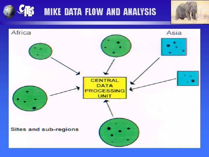 MIKE DATA FLOW AND ANALYSIS 