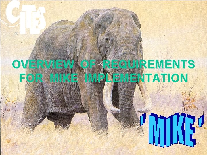 © OVERVIEW OF REQUIREMENTS FOR MIKE IMPLEMENTATION 