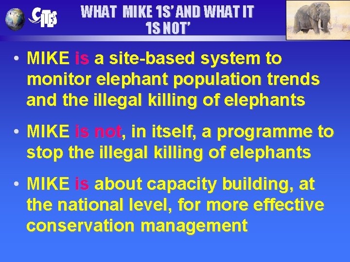 WHAT MIKE ‘IS’ AND WHAT IT ‘IS NOT’ • MIKE is a site-based system