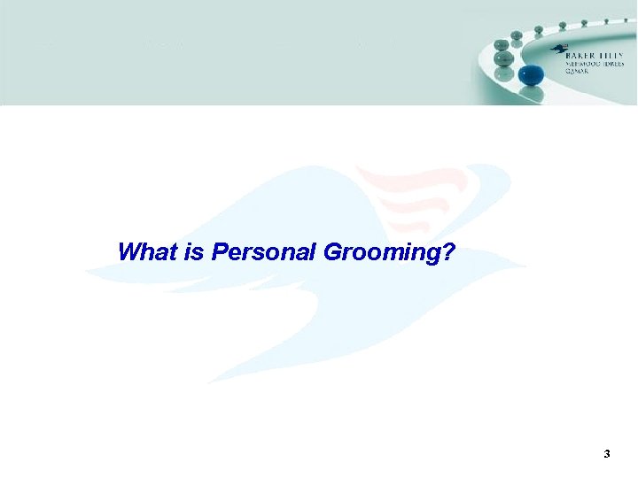What is Personal Grooming? 3 