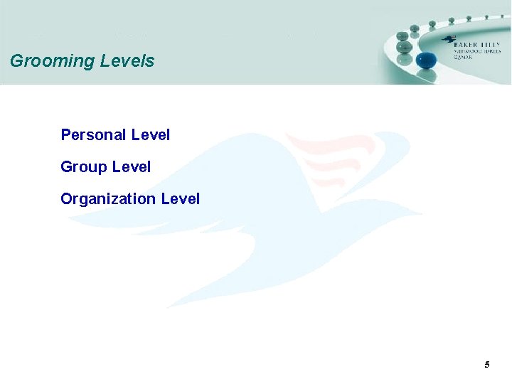 Grooming Levels Personal Level Group Level Organization Level 5 
