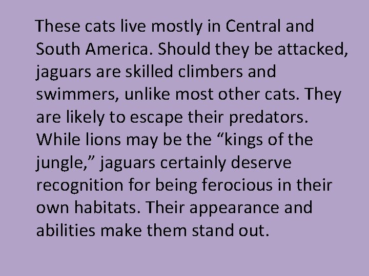 These cats live mostly in Central and South America. Should they be attacked, jaguars