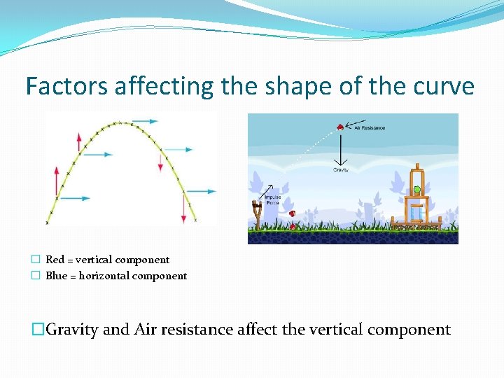 Factors affecting the shape of the curve � Red = vertical component � Blue