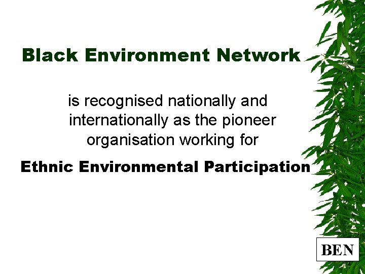 Black Environment Network is recognised nationally and internationally as the pioneer organisation working for