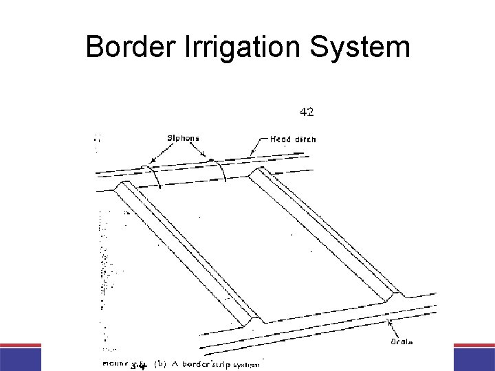 Border Irrigation System 