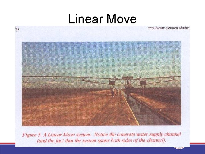 Linear Move 