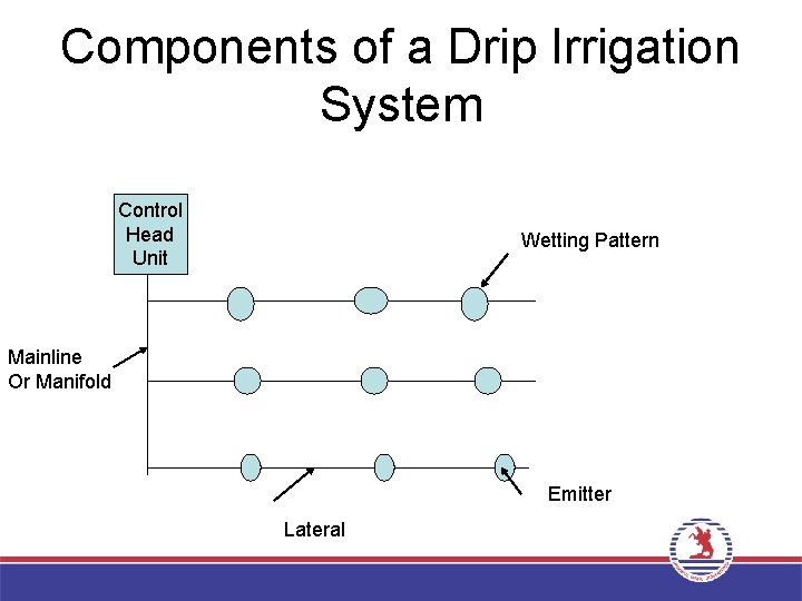 Components of a Drip Irrigation System Control Head Unit Wetting Pattern Mainline Or Manifold