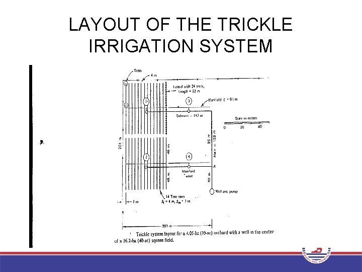 LAYOUT OF THE TRICKLE IRRIGATION SYSTEM 