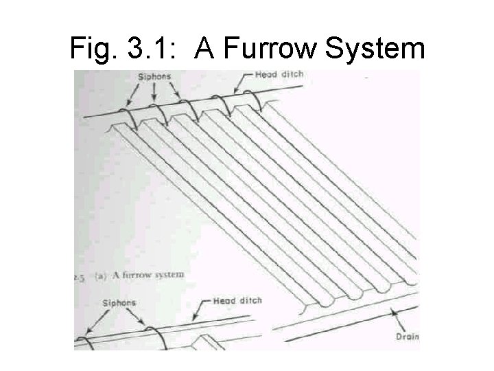 Fig. 3. 1: A Furrow System 