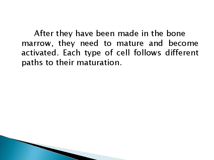 After they have been made in the bone marrow, they need to mature and