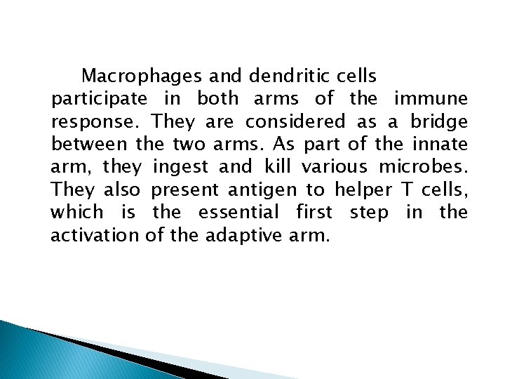 Macrophages and dendritic cells participate in both arms of the immune response. They are