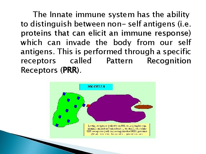The Innate immune system has the ability to distinguish between non- self antigens (i.