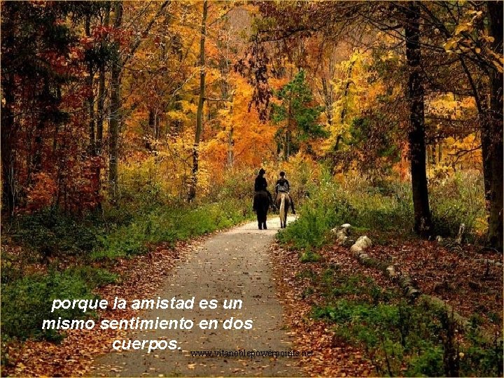 porque la amistad es un mismo sentimiento en dos cuerpos. www. vitanoblepowerpoints. net 