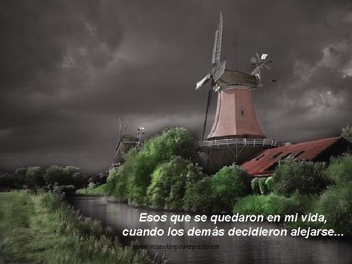 Esos que se quedaron en mi vida, cuando los demás decidieron alejarse. . .