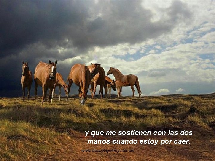 y que me sostienen con las dos manos cuando estoy por caer. www. vitanoblepowerpoints.