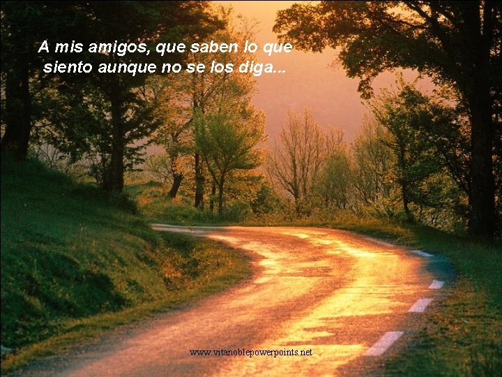 A mis amigos, que saben lo que siento aunque no se los diga. .