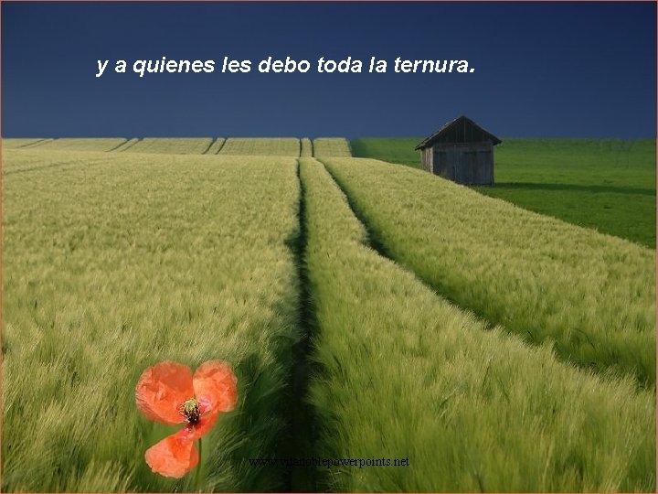 y a quienes les debo toda la ternura. www. vitanoblepowerpoints. net 