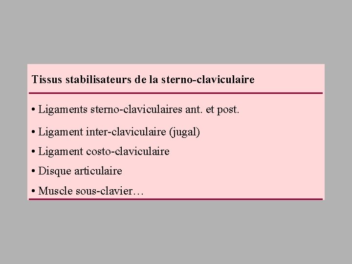 Tissus stabilisateurs de la sterno-claviculaire • Ligaments sterno-claviculaires ant. et post. • Ligament inter-claviculaire