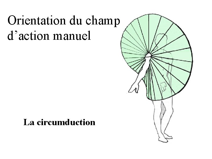 Orientation du champ d’action manuel La circumduction 