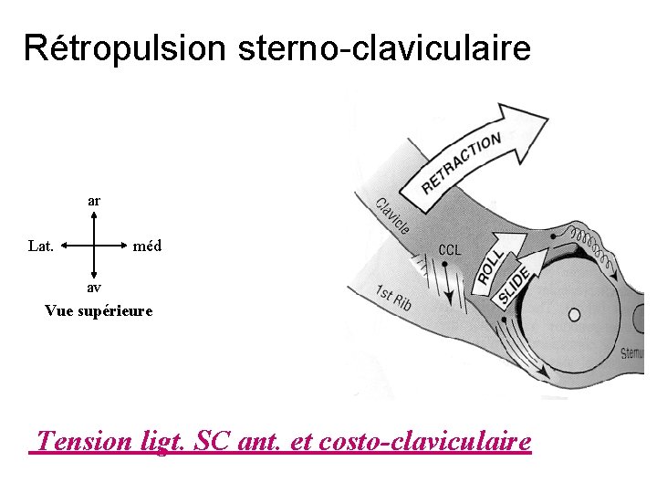 Rétropulsion sterno-claviculaire ar Lat. méd av Vue supérieure Tension ligt. SC ant. et costo-claviculaire