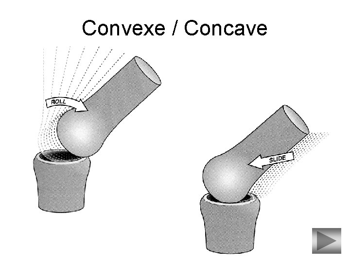 Convexe / Concave 