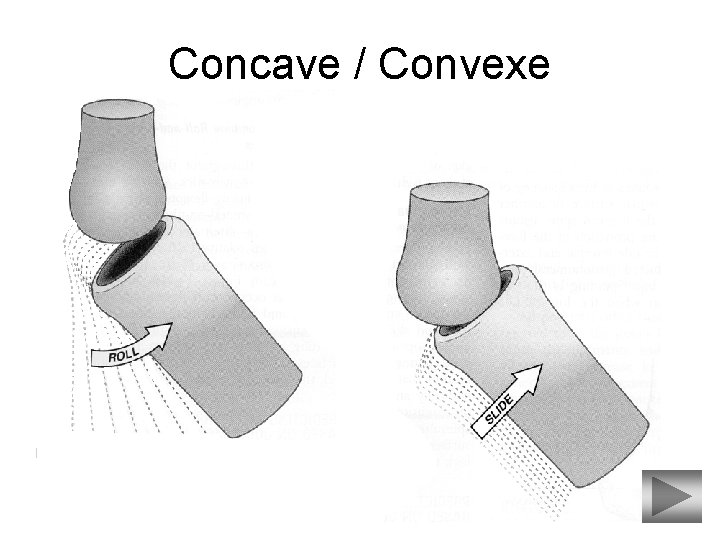 Concave / Convexe 