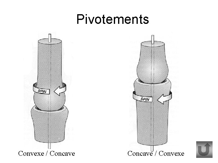 Pivotements Convexe / Concave / Convexe 