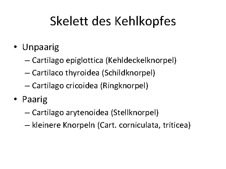 Skelett des Kehlkopfes • Unpaarig – Cartilago epiglottica (Kehldeckelknorpel) – Cartilaco thyroidea (Schildknorpel) –