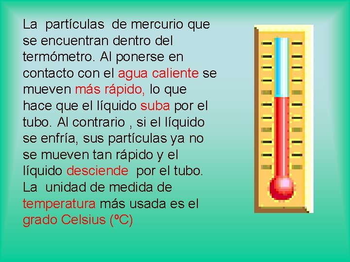 La partículas de mercurio que se encuentran dentro del termómetro. Al ponerse en contacto