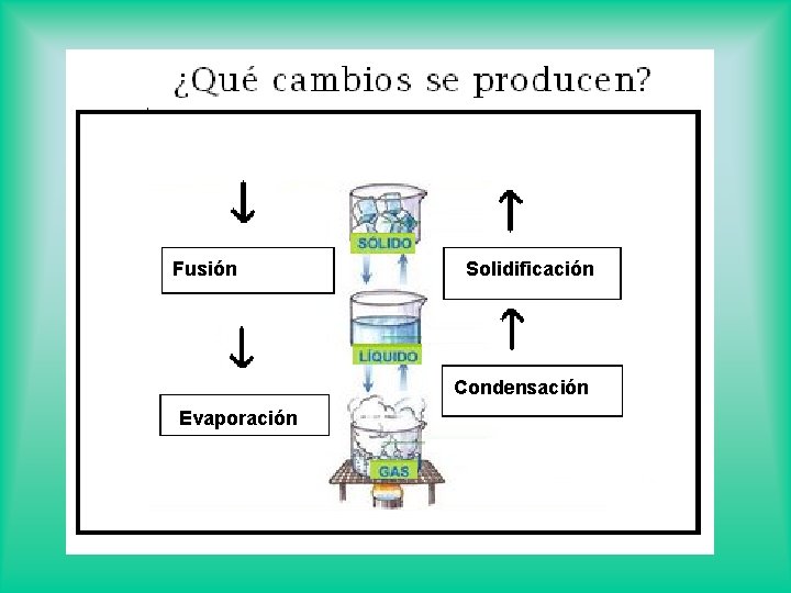 Fusión Solidificación Condensación Evaporación 