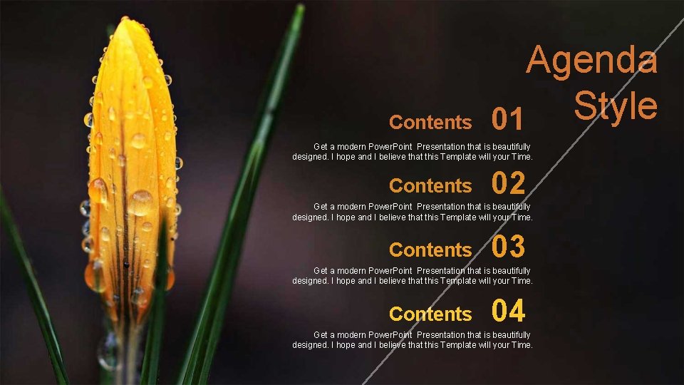 Contents Agenda Style 01 Get a modern Power. Point Presentation that is beautifully designed.