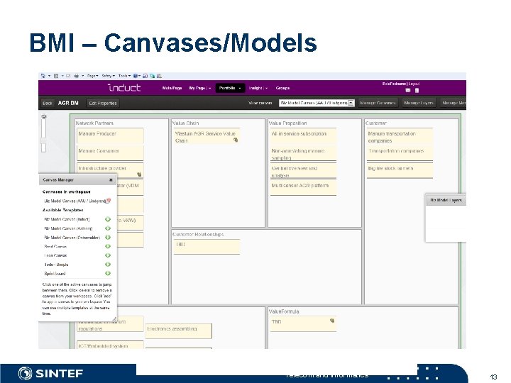 BMI – Canvases/Models Telecom and Informatics 13 