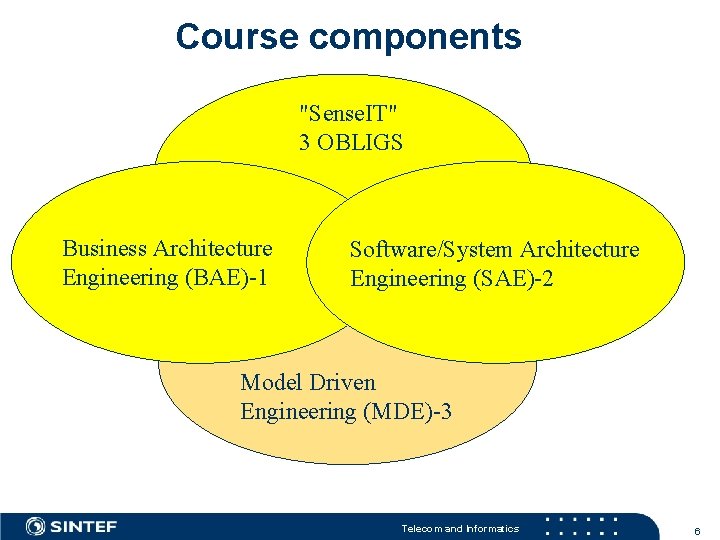 Course components "Sense. IT" 3 OBLIGS Business Architecture Engineering (BAE)-1 Software/System Architecture Engineering (SAE)-2