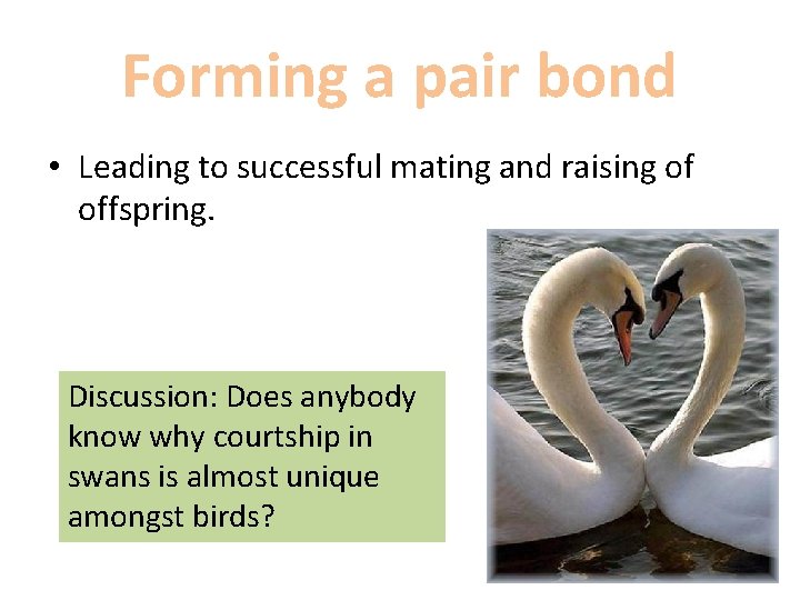 Forming a pair bond • Leading to successful mating and raising of offspring. Discussion: