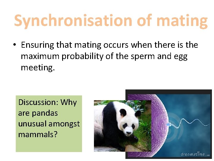 Synchronisation of mating • Ensuring that mating occurs when there is the maximum probability