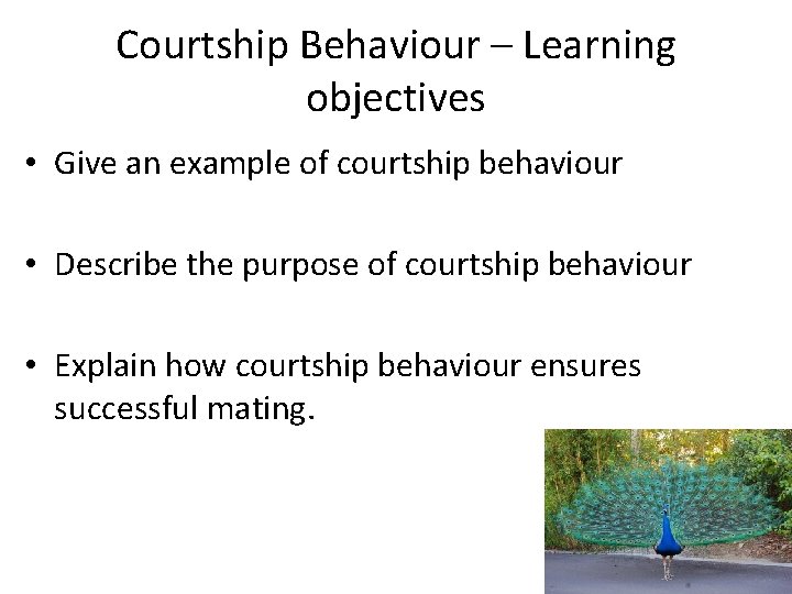 Courtship Behaviour – Learning objectives • Give an example of courtship behaviour • Describe