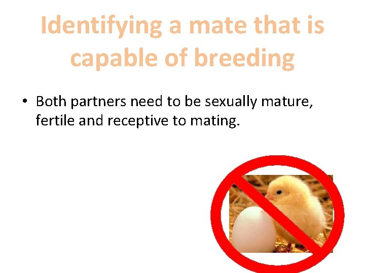 Identifying a mate that is capable of breeding • Both partners need to be