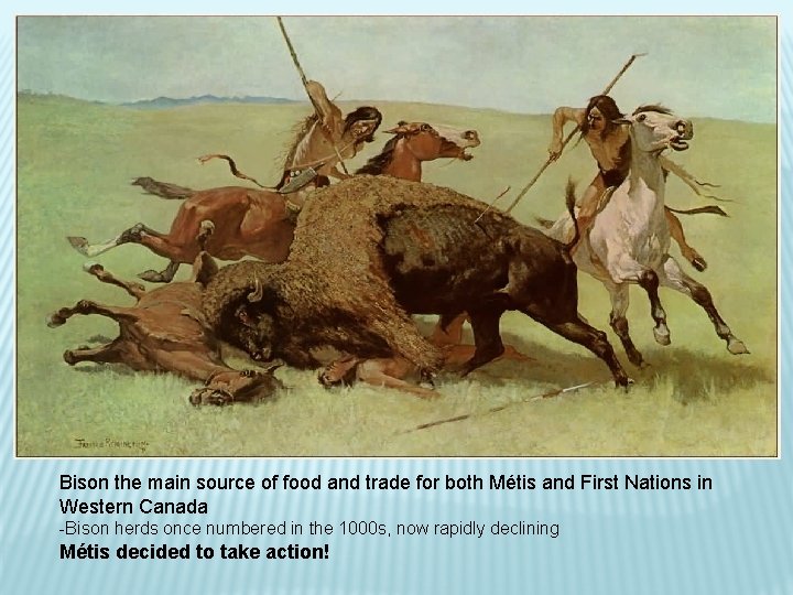 Bison the main source of food and trade for both Métis and First Nations